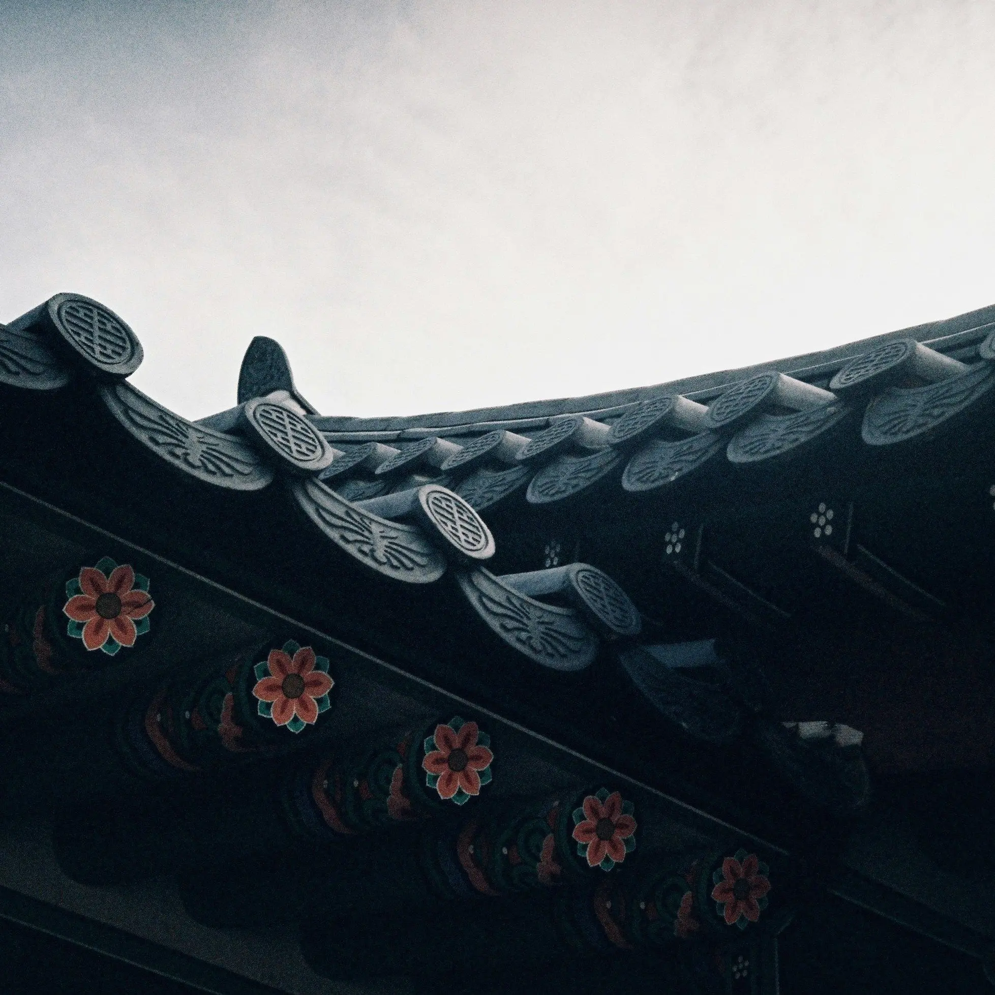msg_1113의 陰陽體系