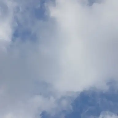 Profile image of 김경장-김준엽