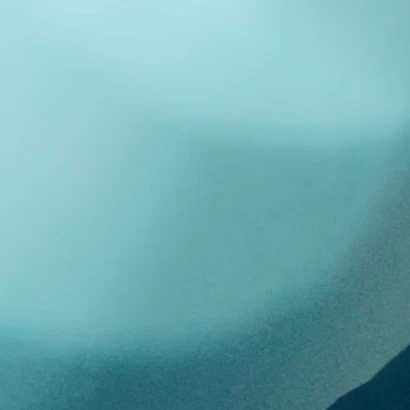 타잔