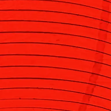 Profile image of 転校生