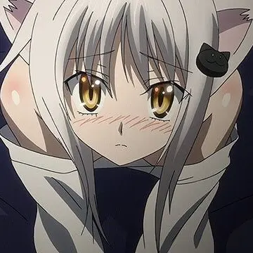 Profile image of 塔城小猫