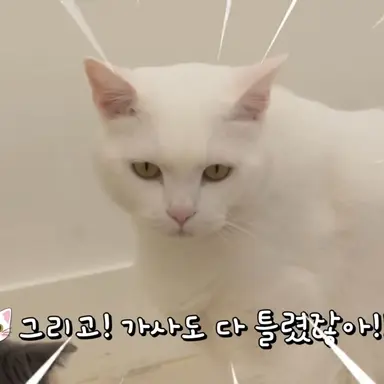 Profile image of 푸딩