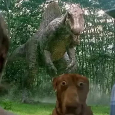 Profile image of Spinosaurus