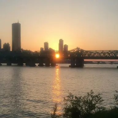 Profile image of 정이안