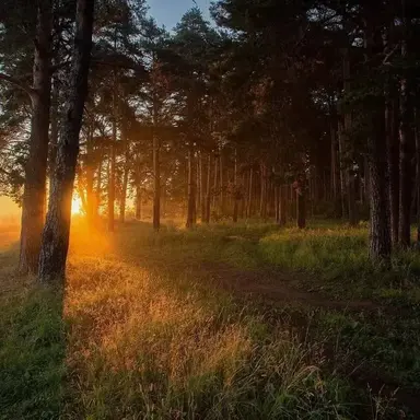 Profile image of Kaelia