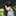 『ただいま』の練習。
