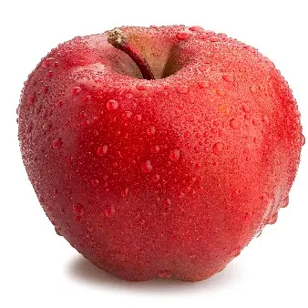 Profile image of 뜰팁 실험체 2p