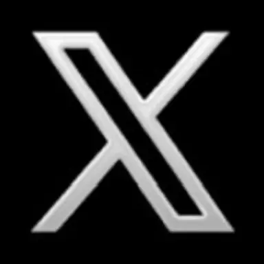 Profile image of X