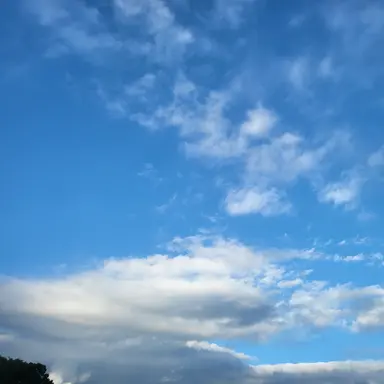 Profile image of 잭