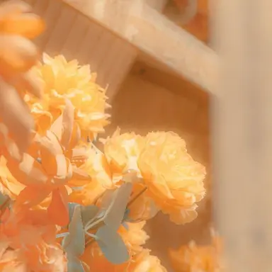 Profile image of 니노