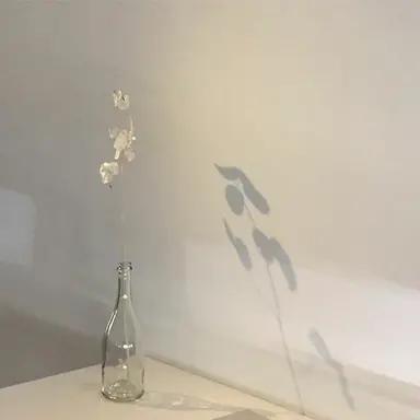 Profile image of 시미베