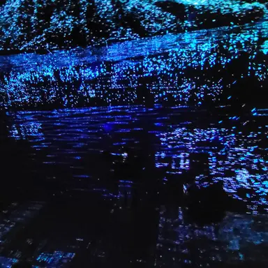 Profile image of 오이나 키츠네