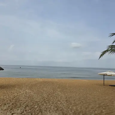 Profile image of 하이바 리에프