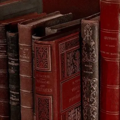 Profile image of 마플