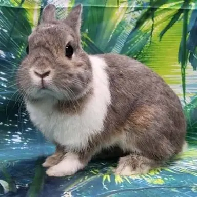 Profile image of イ・サンウォン