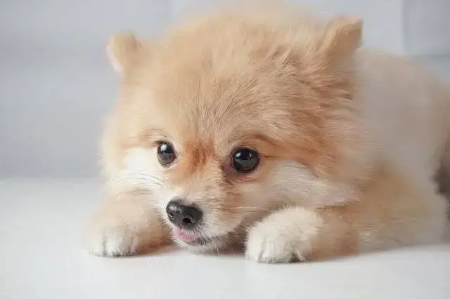 Profile image of チョン・サンヒョン
