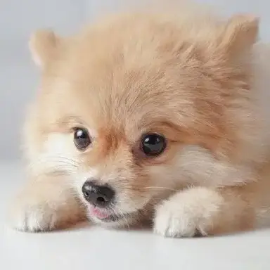 Profile image of チョン・サンヒョン