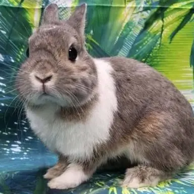 Profile image of イ・サンウォン