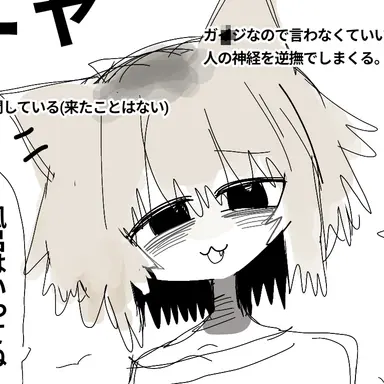 Profile image of ニャーちゃん
