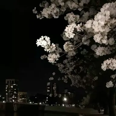 Profile image of サンウォン