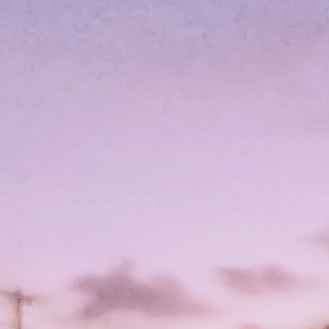 理叶