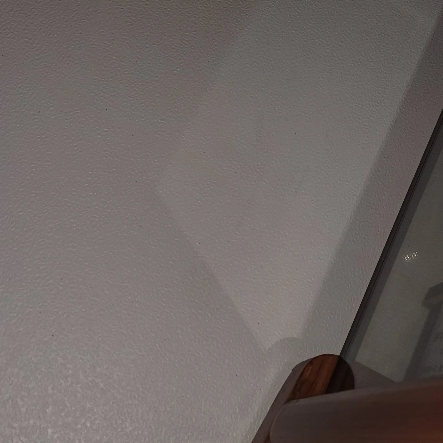 OutlawReef3594의 경계심 겁나 많은 상어수인