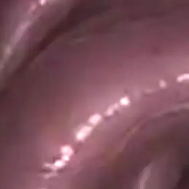 Profile image of 触手生物