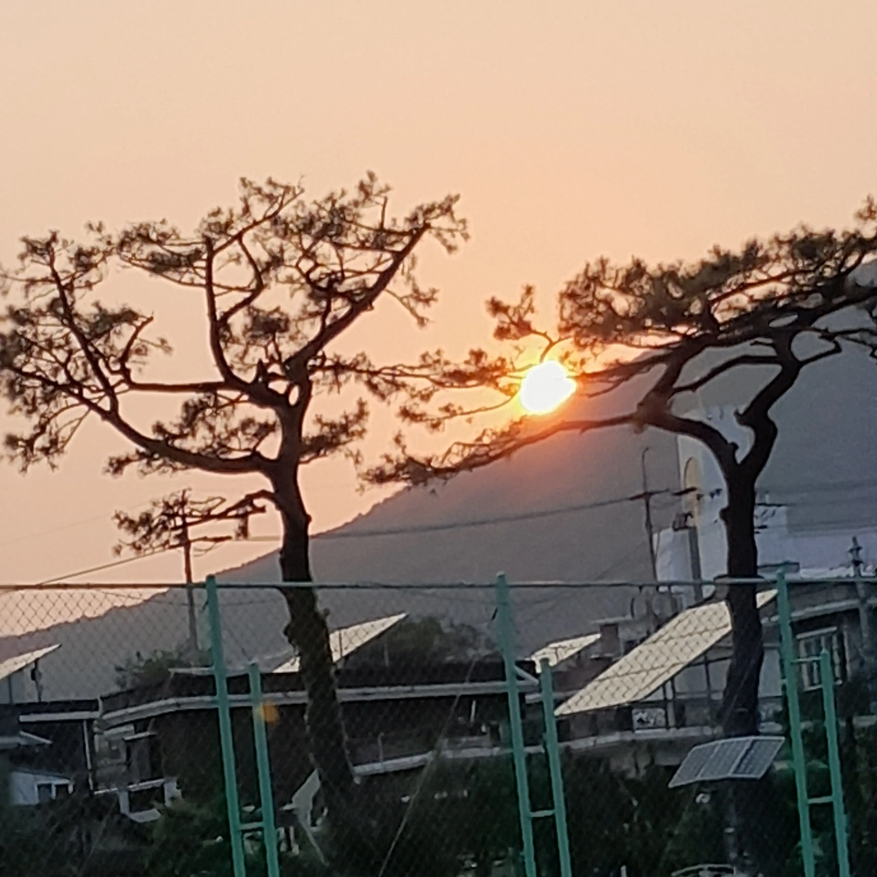 FluffyCrane2963의 고고프렌즈×여우