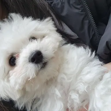 Profile image of 윤다윤