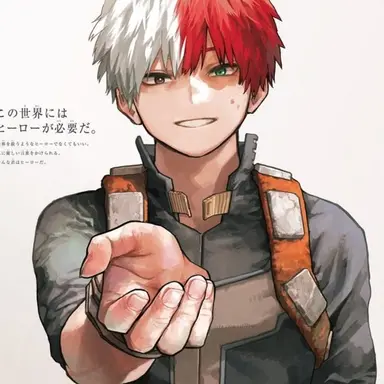 Profile image of Shoto Todoroki