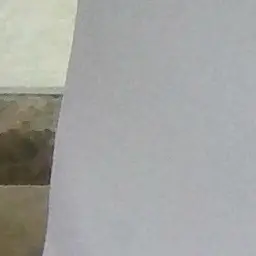 CatBread0122의 피케로
