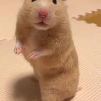 Profile image of もろ