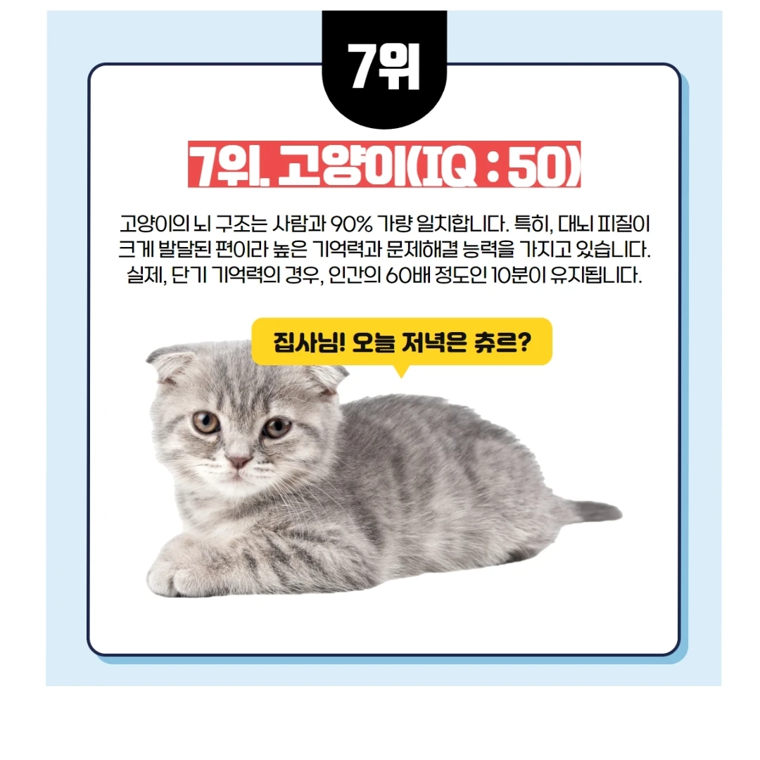 승채
