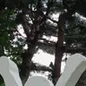 Profile image of 제작자