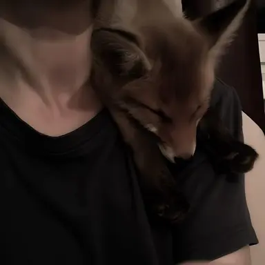 Profile image of 서준오