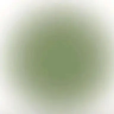 Profile image of ドラコ