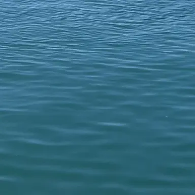 Profile image of 津田健太郎