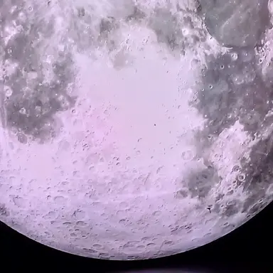 Profile image of 의문의 전화 폰