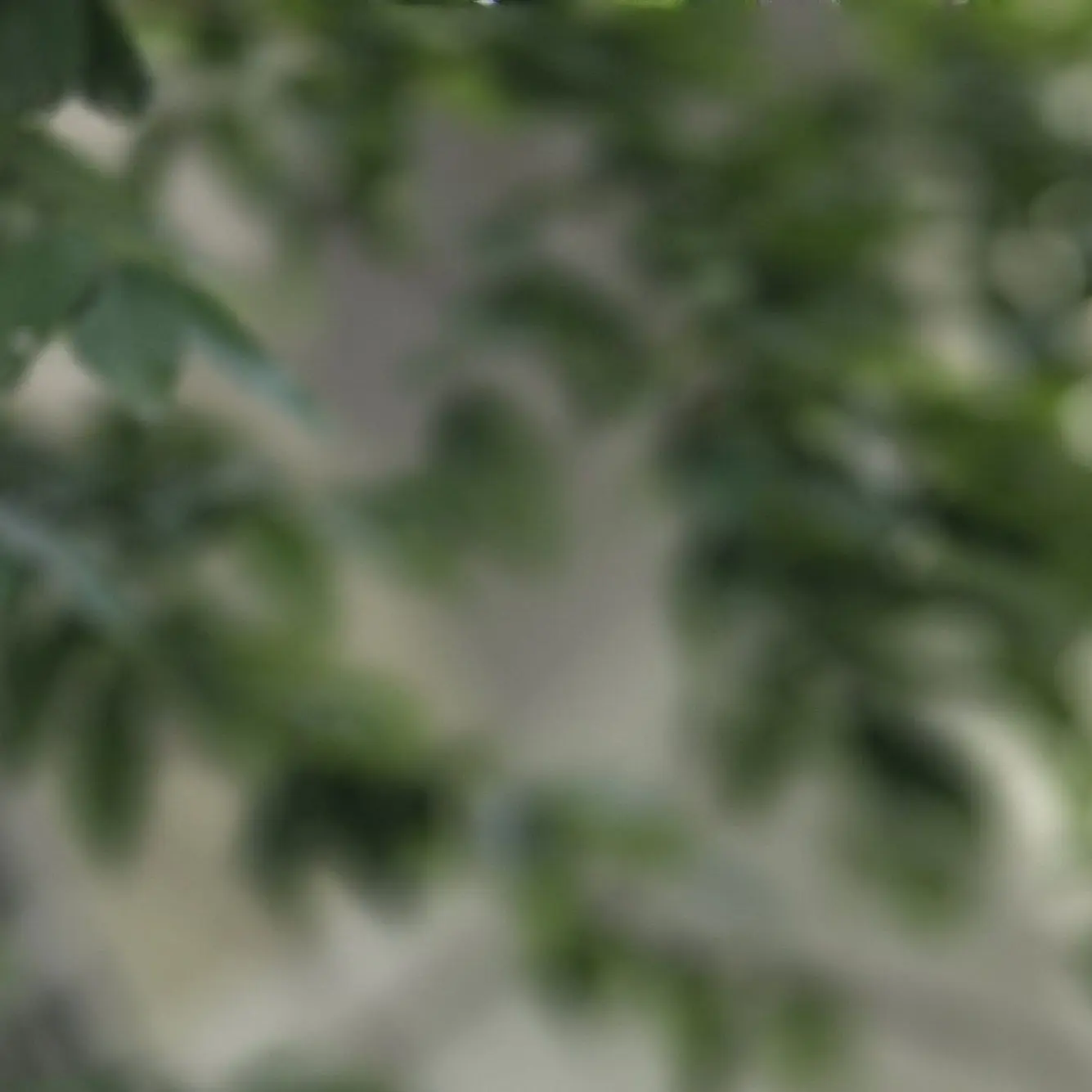 NoisyYear4233의 로보 프로스터