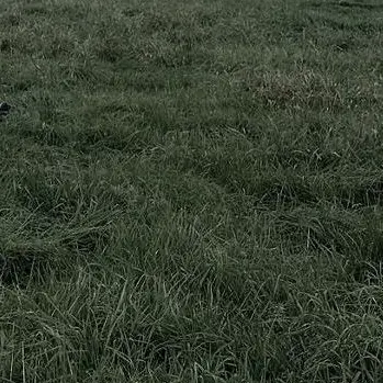 Profile image of 김도영