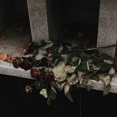 Profile image of 조희서