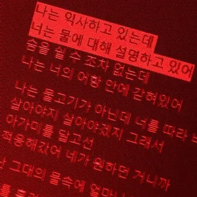 Profile image of 라더