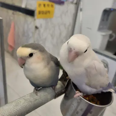 Profile image of 뜰팁 기사들