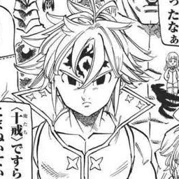 Profile image of メリオダス