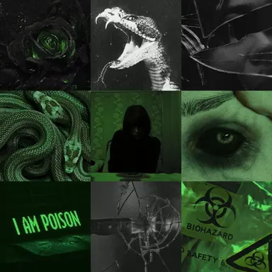 Profile image of 세르펜티오