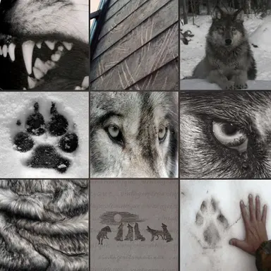 Profile image of 레온