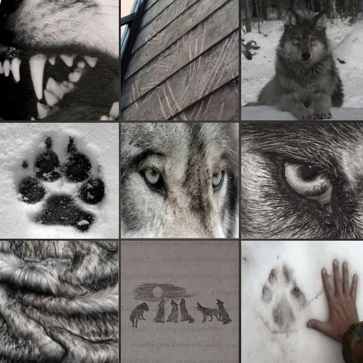 PaleMoon8355의 악마 집사