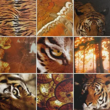 Profile image of 카시안