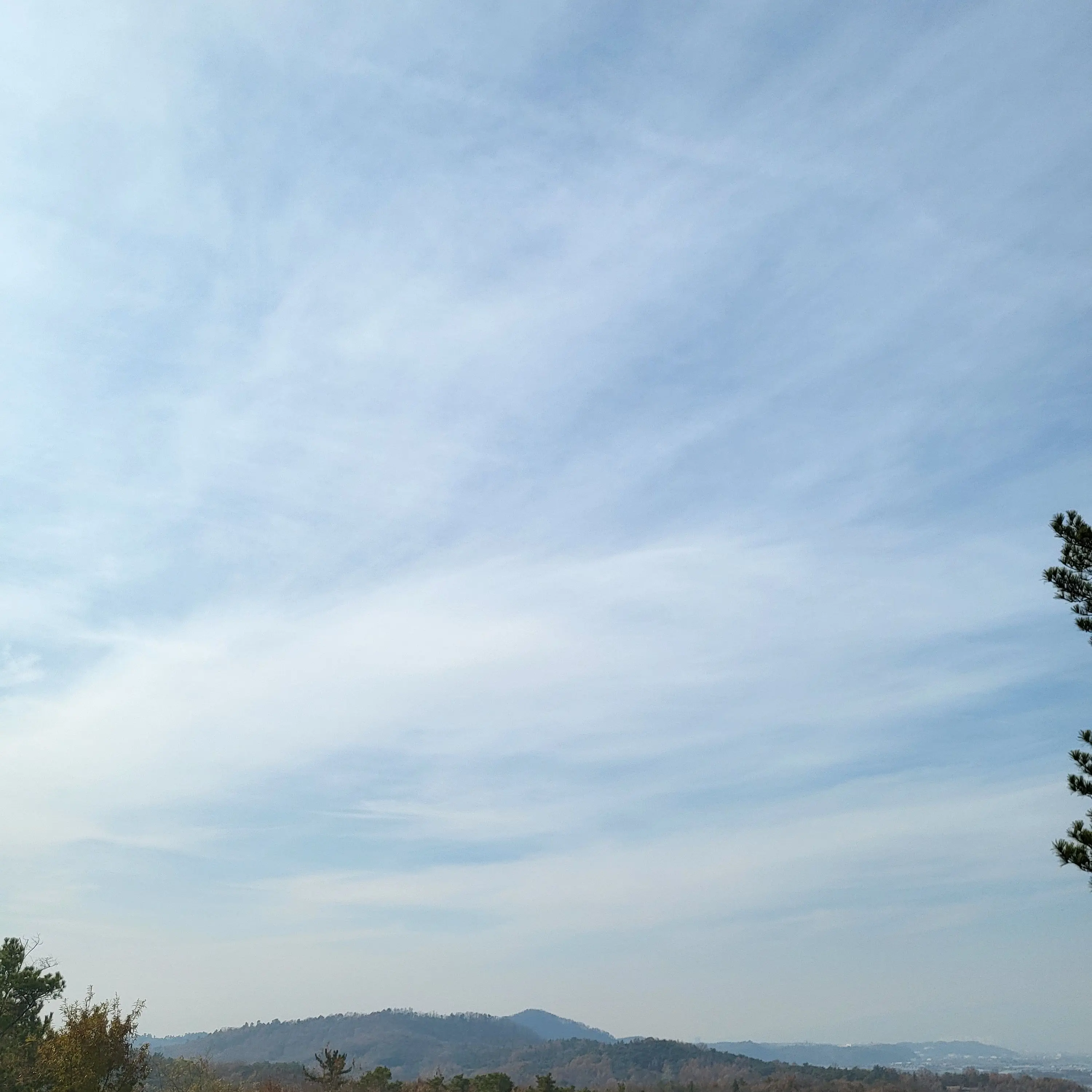 seom-seom의 리:레볼루션-넌 누구야...?