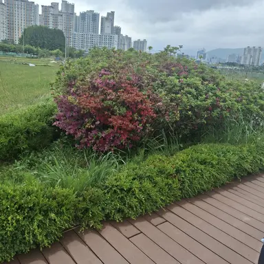Profile image of 우유참치